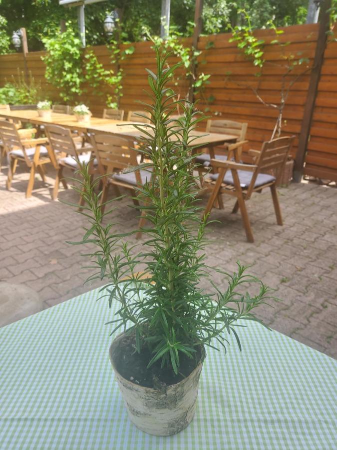 Landgasthof Gaensberg Guest house Wiesloch