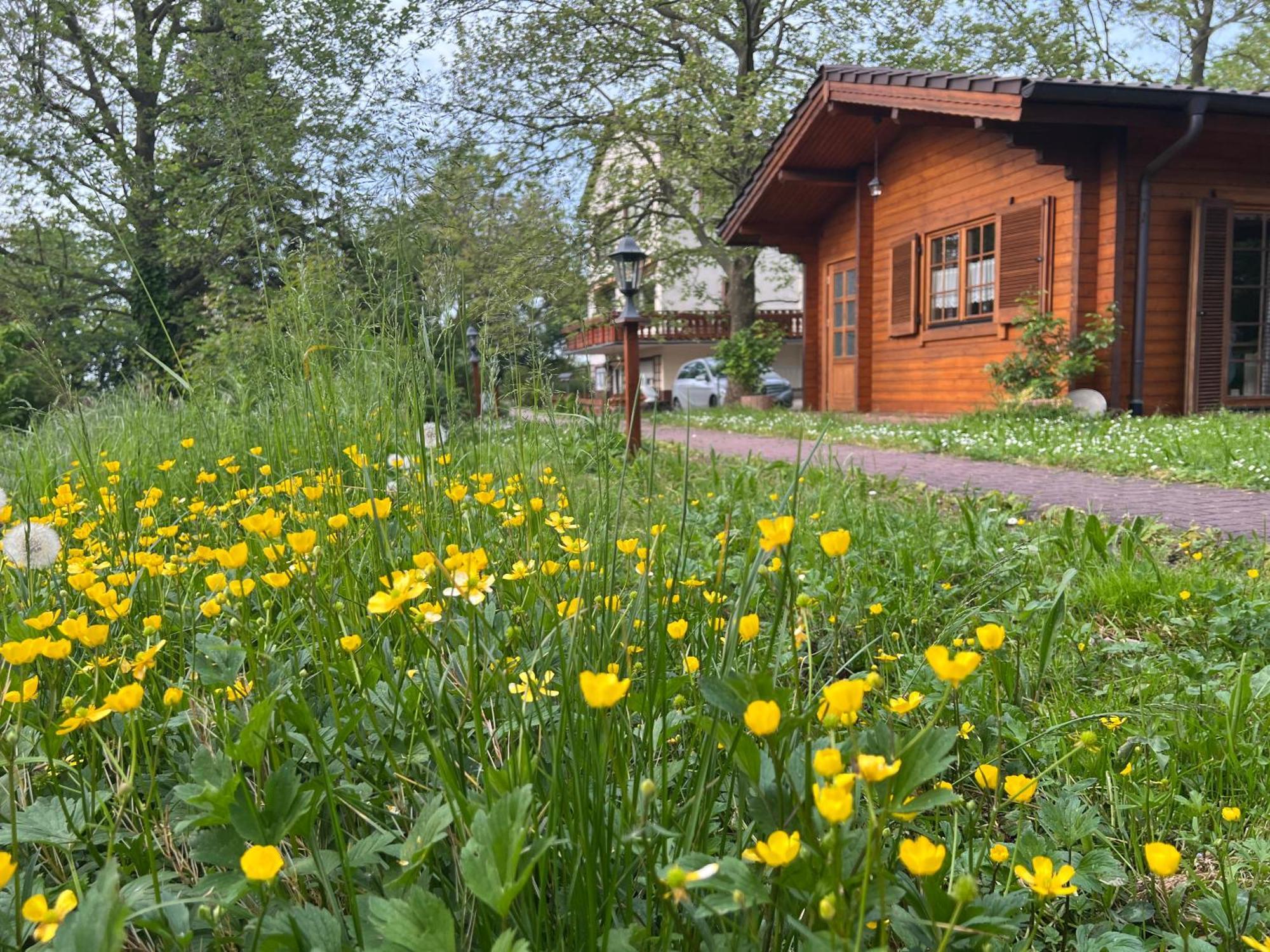 Landgasthof Gaensberg Wiesloch